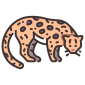 animal icon