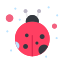 Ladybug icon