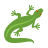 蜥蜴 icon