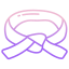black belt icon