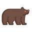 bear icon
