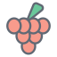 Externer-Trauben-Obst-und-Gemüse-gefüllter-Umriss-Designkreis icon