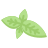 externo-manjericão-vegetal-plano-óbvio-plano-kerismaker icon