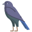 eagle icon