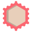 frame icon