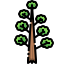 Tree icon