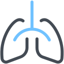 Lungs icon