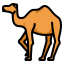 camel islamic animal desert islam icon