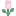 玫瑰 icon