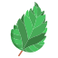 external-hibiscus-leaves-icongeek26-flat-icongeek26 icon