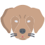 Cachorro icon