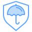 protect icon