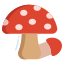 Tiny Red Mushrooms icon