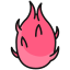 dragon fruit icon
