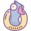 oie-oie-canard icon