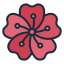 Sakura Flower icon
