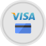 Visa icon