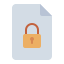 secured file icon