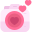 camera icon