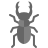 escarabajo ciervo icon