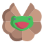 Frilled Lizard icon
