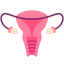 Ovary icon