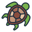 Tartaruga icon