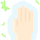 Ganze Hand icon