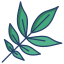 Ash Leaf icon