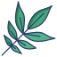 ash leaf icon