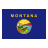 Montana Flag icon