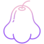 rose apple icon