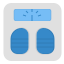 scale icon