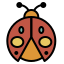 ladybug icon