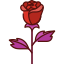 Rosa icon