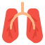 Lung icon