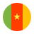 CNY Flag