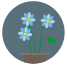 Blue Flowers icon