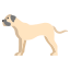 Bullmastiff icon