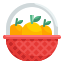 oranges icon