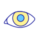 eye icon