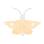 Moth icon