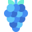 Grapes icon