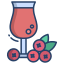 Cranberry Juice icon