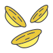 Orecchiette icon