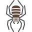 Araña icon