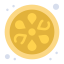 Zitrone icon
