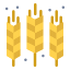 grain icon