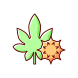castor bean icon