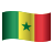 塞内加尔表情符号 icon